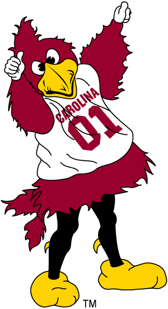 South Carolina Gamecocks 2002-Pres Mascot Logo diy fabric transfers